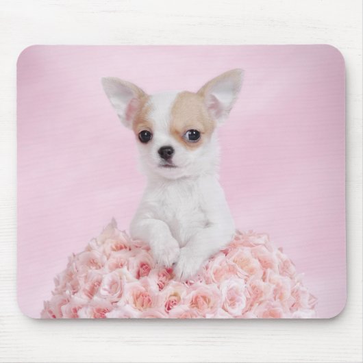 Chihuahua-Welpe Mousepad (Vorne)