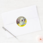 Chihuahua-Welpe  Runder Aufkleber (Umschlag)