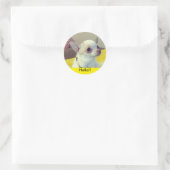 Chihuahua-Welpe  Runder Aufkleber (Tasche)