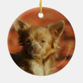 Chihuahua-WelpeHeadshot Keramikornament (Hinten)