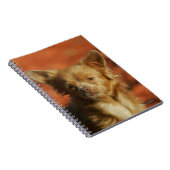 Chihuahua-WelpeHeadshot Notizblock (Rechte Seite)
