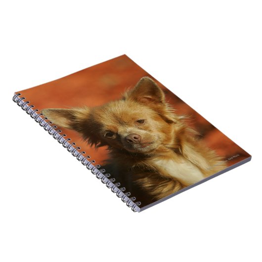 Chihuahua-WelpeHeadshot Notizblock (Rechte Seite)
