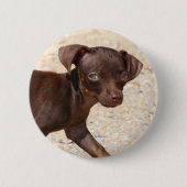 Chihuahua-Welpen-Gehen Button (Vorderseite)