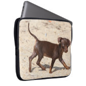 Chihuahua-Welpen-Gehen Laptopschutzhülle (Vorne Rechts)