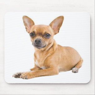 Chihuahua-Welpen-Hund Mauspad