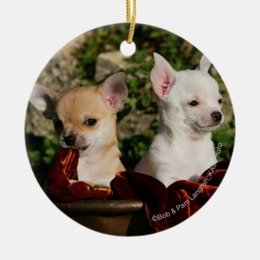 Chihuahua-Welpen Keramik Ornament (Vorne)