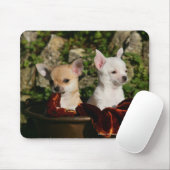 Chihuahua-Welpen Mousepad (Mit Mouse)