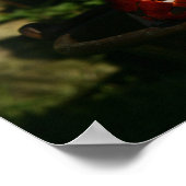 Chihuahua-Welpen Poster (Ecke)