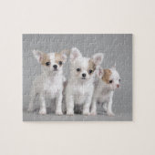 Chihuahua Welpen Puzzle (Horizontal)