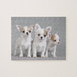 Chihuahua Welpen Puzzle