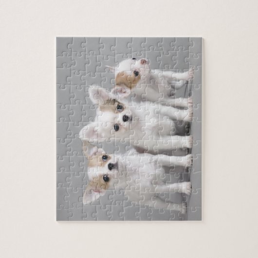 Chihuahua Welpen Puzzle (Vertikal)