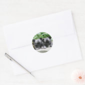 Chihuahua-Welpen Runder Aufkleber (Umschlag)