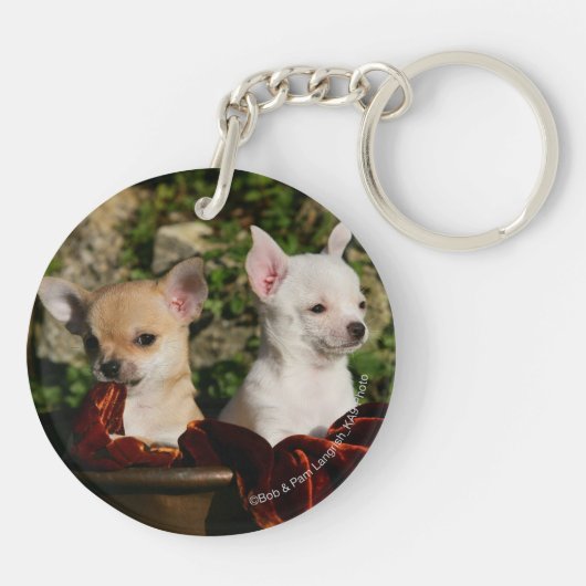 Chihuahua-Welpen Schlüsselanhänger (Rückseite)