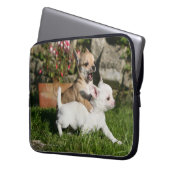 Chihuahua-Welpen-Spielen Laptopschutzhülle (Vorderseite Links)