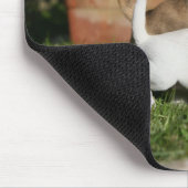 Chihuahua-Welpen-Spielen Mousepad (Ecke)