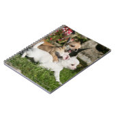 Chihuahua-Welpen-Spielen Notizblock (Linke Seite)