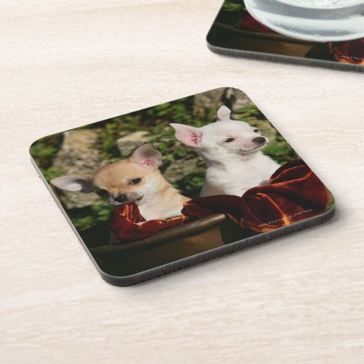 Chihuahua-Welpen Untersetzer (Linke Seite)