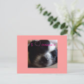 Chihuahua-Welpenpostkarte Postkarte (Stehend Vorderseite)