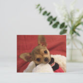 Chihuahua-Welpenpostkarte Postkarte (Stehend Vorderseite)