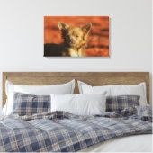 Chihuahua Welppy-Headshot Leinwanddruck (Insitu (Schlafzimmer))