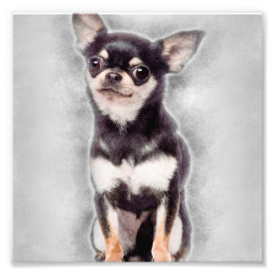 Chihuahua Welppy Sitting   Dekor des Süßen Tiers Fotodruck