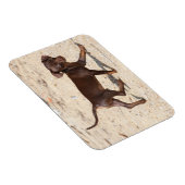 Chihuahua Welppy Walking Magnet (Rechte Seite)