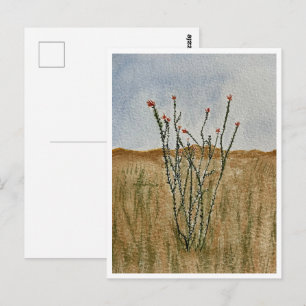 Chihuahua-Wüsten-Ocotillo-Postkarte Postkarte