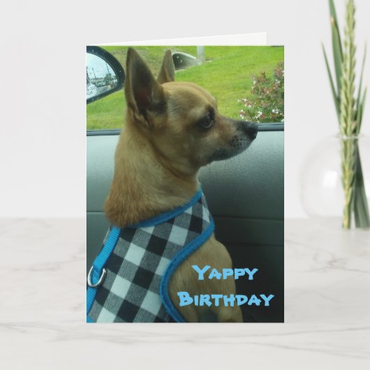Chihuahua Yappy Birthday Card Karte (Vorderseite)