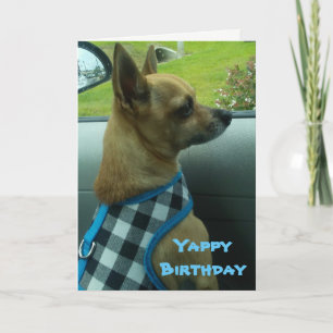 Chihuahua Yappy Birthday Card Karte