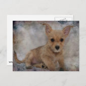 Chihuahua/Yorkie Puppie Postkarte (Vorne/Hinten)