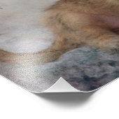 Chihuahua/Yorkie Puppy Fotodruck (Ecke)