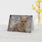 Chihuahua/Yorkie Puppy Karte (Gelbe Blume)