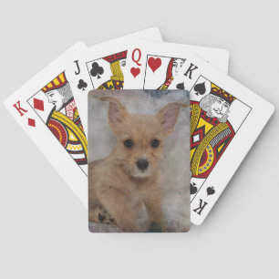 Chihuahua/Yorkie Puppy Spielkarten