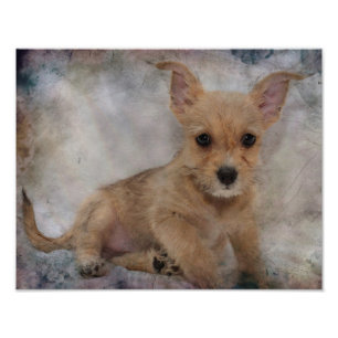 Chihuahua/Yorkie Welpe Fotodruck