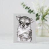 Chihuahua zeichnend postkarte (Stehend Vorderseite)