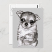Chihuahua zeichnend postkarte (Vorne/Hinten)