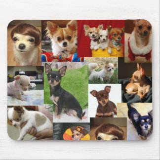 Chihuahuaauflage Mousepad