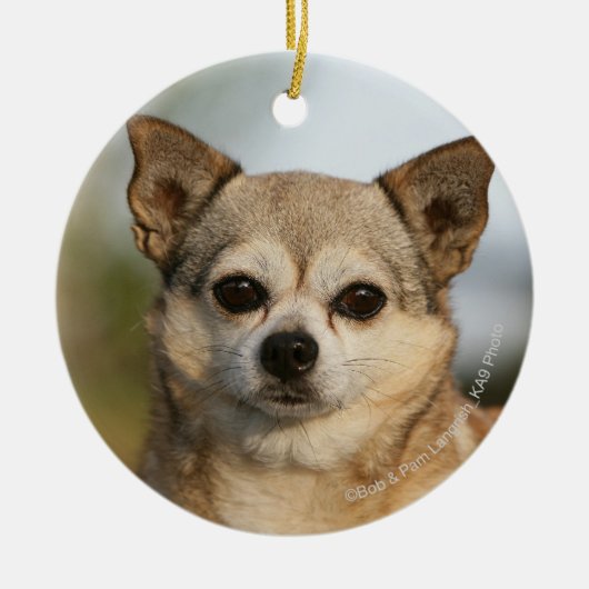 ChihuahuaHeadshot Keramik Ornament (Vorne)