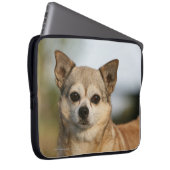 ChihuahuaHeadshot Laptopschutzhülle (Vorne Rechts)