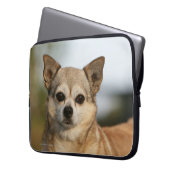 ChihuahuaHeadshot Laptopschutzhülle (Vorderseite Links)