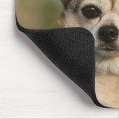ChihuahuaHeadshot Mousepad (Ecke)