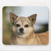 ChihuahuaHeadshot Mousepad (Vorne)