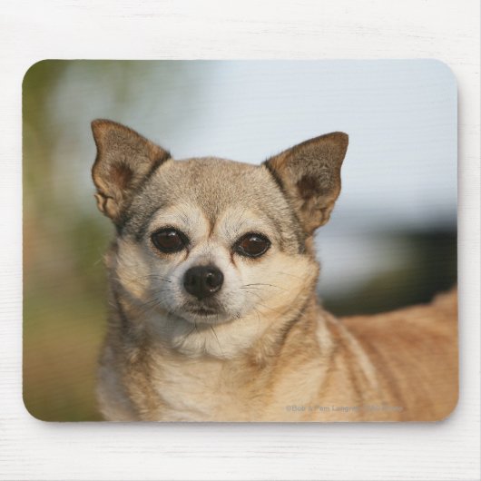 ChihuahuaHeadshot Mousepad (Vorne)