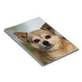 ChihuahuaHeadshot Notizblock (Rechte Seite)
