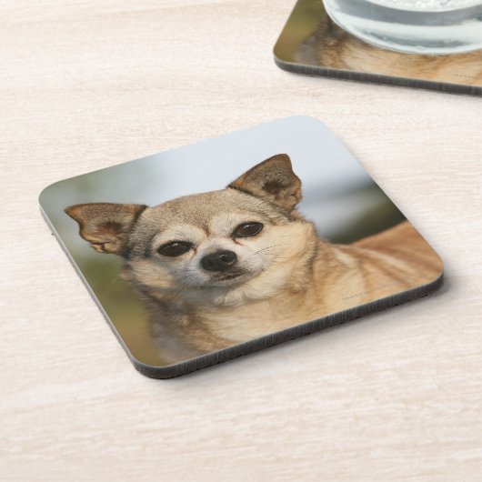 ChihuahuaHeadshot Untersetzer (Linke Seite)