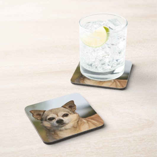 ChihuahuaHeadshot Untersetzer (Rechte Seite)