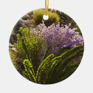 Chihuahuahuan-Wüste-Pflanze in Blüte Keramikornament
