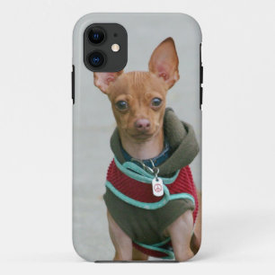 Chihuahuahund Case-Mate iPhone Hülle