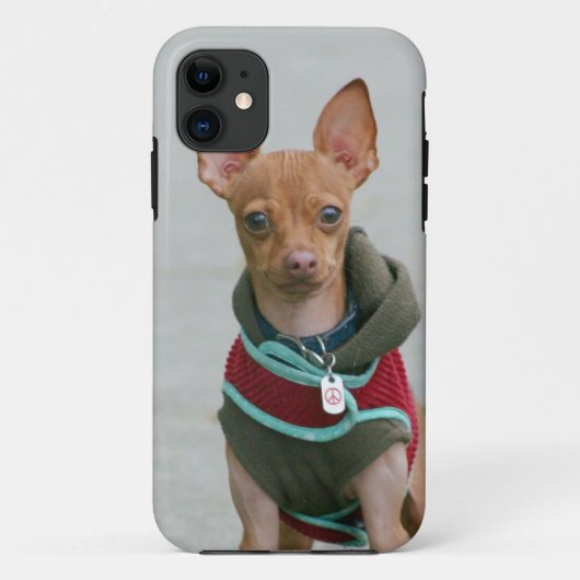 Chihuahuahund Case-Mate iPhone Hülle (Rückseite)