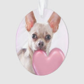 Chihuahuahundacrilyc Verzierung des Ornament (Vorderseite)